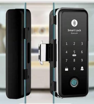 China W08 JULU Door Factory Digital Fingerprint Security Locks BD Security Lok Smart Frame Less Glass Glass Door Lock for sale