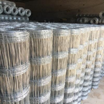 China Plain Weave 4'x50m Hot Dipped Galvanized Hinge Joint Knot Field Fence for sale