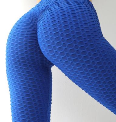 China Women Breathable Seamless Panties Ever Fashion Seamless Leggings Tights Techinc Yoga Pants For Gym Quantity OEM Customized Spandex Logo for sale