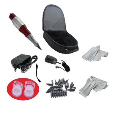 China 1 Full Set Makeup Cosmetic Kit Machine Tattoo Makeup Needles LX-L116 With Foot Pedal Gun Tattoo Needles for sale