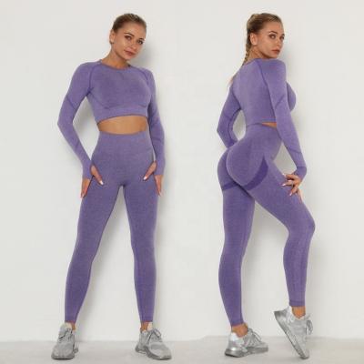 China Breathable Custom Logo Upper Leggings Sports Set Women Fitness Tracksuit Workout Sports Long Sleeve Yoga Clothes Seamless Suits for sale