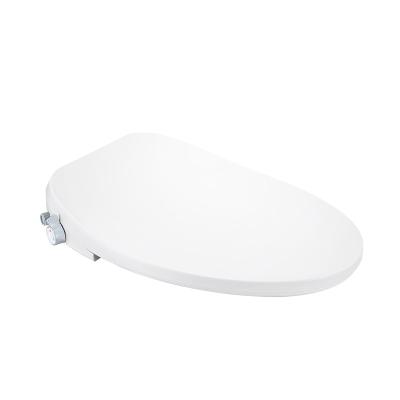 China Electric heating intelligent toilet seat, modern suitable for v-type toilet, double spout system and seat ring heating function for sale