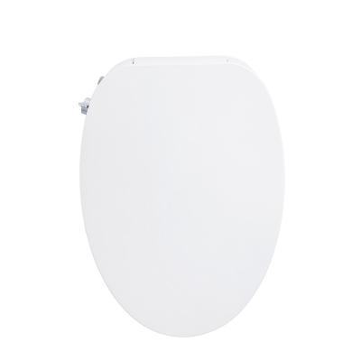 China Double-flow Toilet Cover Electric Bidet Combined Hot Water Double Sprinkler Self-cleaning Remote Control Multifunctional Toilet Cover for sale