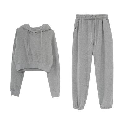 China Breathable Wholesale Sweat Suits Women Clothing Hoodies Sports Wear Outdoor Gym Wear for sale