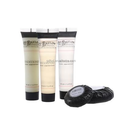 China Traveling Home Hotel Spa Aireline Hospital OEM European Brands Custom Disposable Hotel Shampoo And Soap Bathroom Amenities Toiletries Set With L clear tube packaging for sale