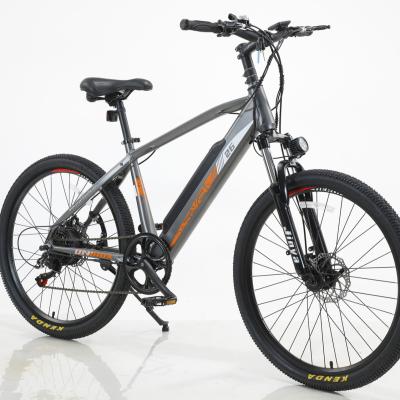 China Eourpe Price Steel Delivery 24 Inch Electric Battery MTB Gray Fashionable Model And Orange Sports High Quality Cheap Factory Price for sale