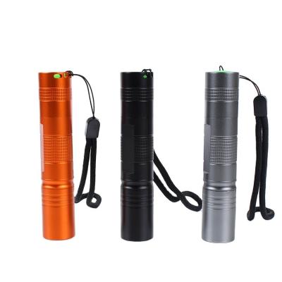 China Aluminum Alloy Mini Flashlight Keychain Led Argon Blowtorch Doctor Pen Torch Small Key Camping Outdoor Portable for sale