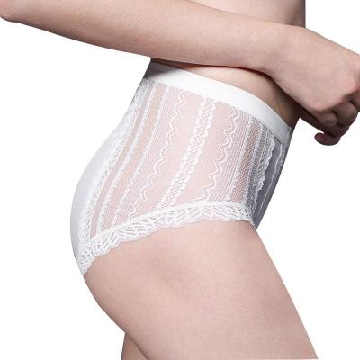 China Breathable Direct Sexy Mid Waist Lace Factory Underwear Women Transparent Panties for sale