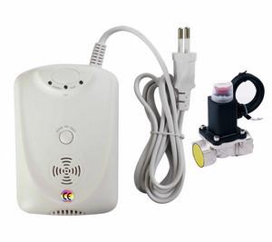 China EN50291 Carbon Monoxide Co Alarm Detector With Self Testing Button for sale