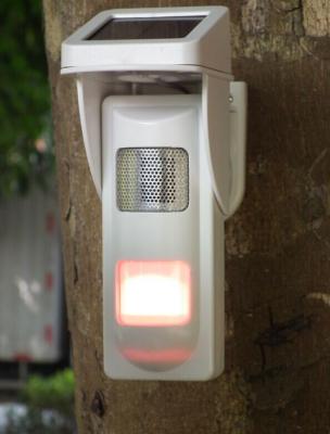 China Outdoor Solar  Alarm Motion Detectors With Sound & Light Alert For Park Fire Fighting for sale