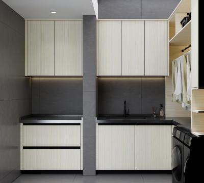 China Elegant And Efficient Space Utilization Laundry Room Cupboards Stainless Steel for sale