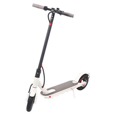 China Unisex Fascinating Price 2000w 1000w 36v/48v Fast Power Long Range Adults Off Road Electric Scooter for sale