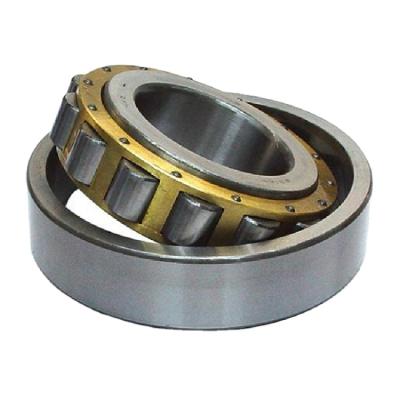 China Factory Gate Roller Bearing Multifunctional Cylindrical Roller Bearing 42317E NJ317E for sale