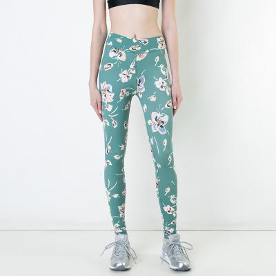 China Anti-Static Sexy Indian Girls Wearing Floral Print Fitness Waist Workout Lularoe High Waist Leggings hsl2134 for sale