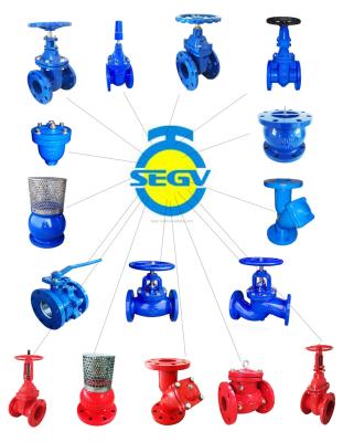 China Cast Iron General Suction Valve DN50--DN400 JIS 10K ANSI150 PN10 PN16 for sale