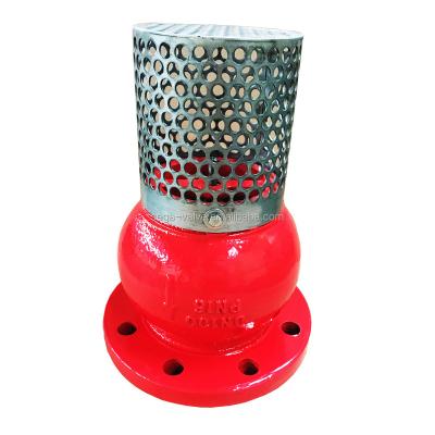 China General Ductile Cast Iron Foot Valve With Stainless Steel Strainer for sale