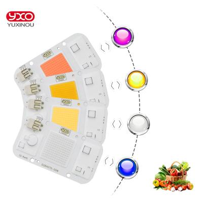 China Grow Light Phyto Lamp C.P. Lamp Indoor High COB Led Smd Chips 20W 30W 50W Led Light Led Chip for sale