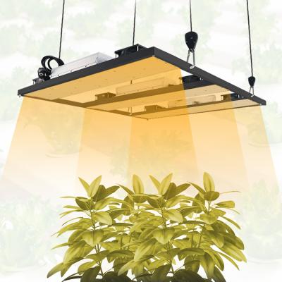 China 200lm/w LED Grow Light 720W Samsung LM301H Diodes Quiet Fanless Full Spectrum Grow Light High PPFD For 5x5FT Coverage, Veg and Bloom for sale