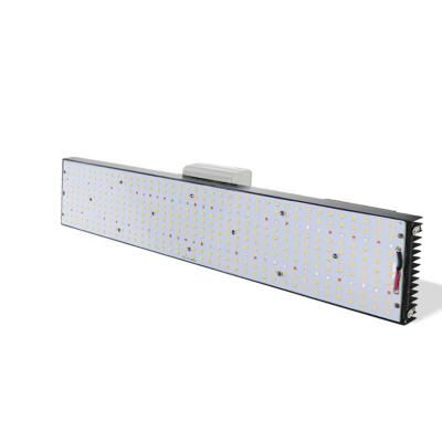 China 200lm/w led plant grow light led to grow light hydroponic LM301H led to grow light for sale