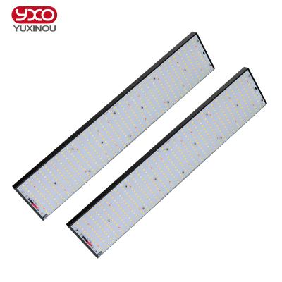 China 200lm/w 2021 New Hydroponic 240W 480W 720W Led Grow Lights Full Spectrum Led Grow Lights For Indoor Plants for sale