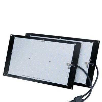 China 200lm/w Europe Brazil Rusia 240W Preassembled Led Current To Grow Light Lm301H 395Nm 450Nm 660Nm Led Grow Light for sale