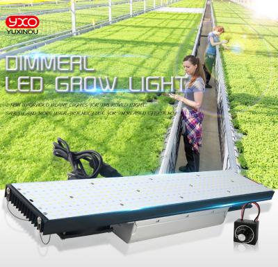 China 200lm/w Full Spectrum IR Chip Plant Grow Lamp 240W UV UV Board Lm301B Lm301H IR 660Nm 200lm/w Etl Led Growing Light for sale