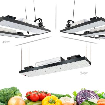 China Top Selling 200lm/w YXO YUXINOU 240W 720W Led Grow Light Bar Plant Lighting For Medical Farm, Greenhouse for sale