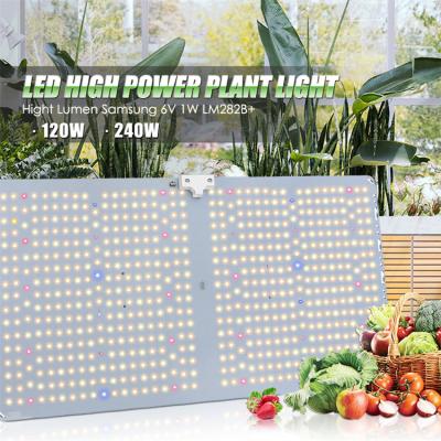 China 160lm/w Shenzhen High Efficiency 120W 240 Watt Led Grow Light Sam-Sung Lm 282b Lm281b Led Grow Light for sale