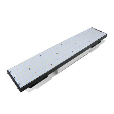 China 200lm/w Full Spectrum Lm282B Led Grow Lights Horticulture 240W Led Grow Lights Plants Grow Systems for sale