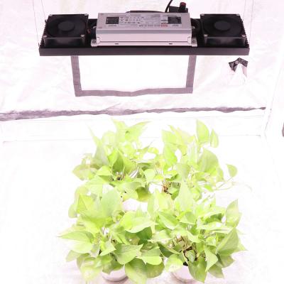 China high quality full spectrum 200lm/w hydroponic led tube for growing light Samsung Lm282b 200w led plant grow light for sale