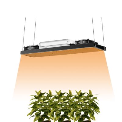 China 200lm/w Green House Running Lighting 3000K 3500K 6000K 240W Led Grow Light IR UV Full Spectrum Led Grow Light for sale