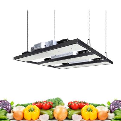 China 200lm/w YXO Dimming Growing Samsung Hydroponic lm282b Led Horticulture Light Vertical 720W Led For Growing Light for sale