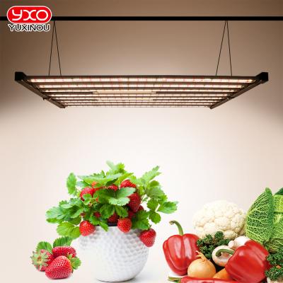 China 200lm/w Yxo latest generation yuxinou full cycle spectrum hydroponics led to grow light bars 800w for greenhouse for sale