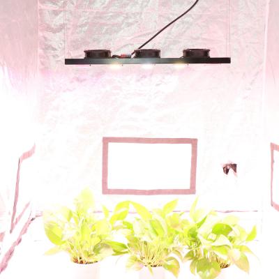 China Dimming Control YXO High Performance 5Pcs 300w Docb Full Spectrum Grow Lights Panels Horticulture Dcob Led Grow Light for sale