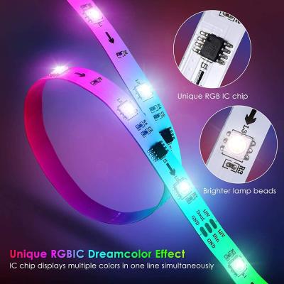 China Newest 12v 24volt 10mm width 60pixel effect magic indoor running color rgb led strip light with IR rf APP WIFI control for sale