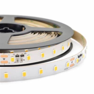 China Factory 24v 192Leds/m 2835 led strip light high power Guangdong CCT 12v led strip for hotel for sale