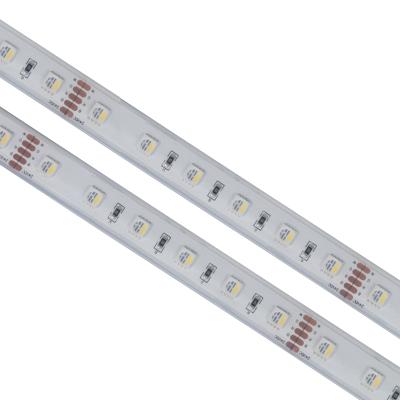 China Amazon 240v 230v 110v 120v 220v RGB 5050 Waterproof Park Color Changing Led Strip Strip Lights With Remote Control for sale