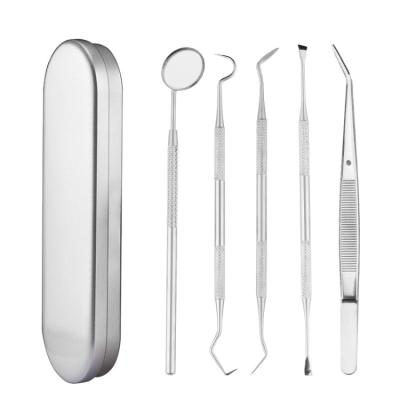 China Convenient Professional 5 Pcs Stainless Steel Dental Hygiene Kit for sale