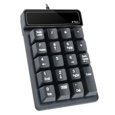 China Numpad Wired Silent Numpad 19 Keys USB Numeric Keypads, Numpad Portable Financial Accounting for Laptop/Notebook/Pro/Outdoor PC for sale