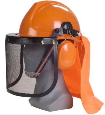 China FS3001 Logging / Forestry Labor Lumber Safety Helmet With Earmuffs Mesh Visor for sale