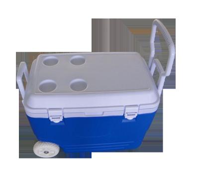 China Food plastic ice cooling box with handle and wheels, insulin blood transport for sale