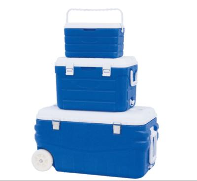 China Food Blow Molds Plastic PU Foam Cooler Box Set for sale