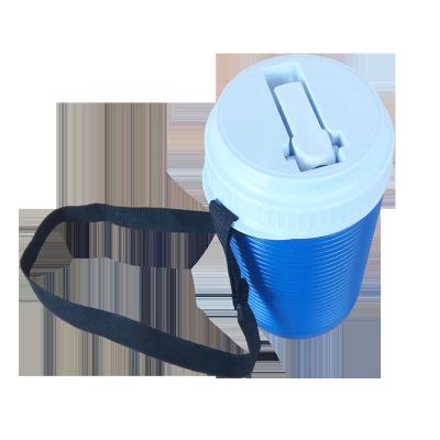 China Mini Portable 0.75Litre Sustainable Water Blow Mold Cooler Box With A Strap And Spout for sale