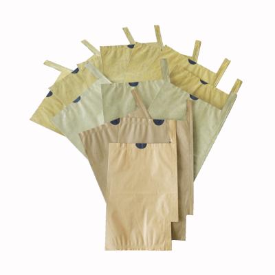 China Biodegradable High Quality Raincoats For Fruit Grow Mango Wax Paper Bag for sale