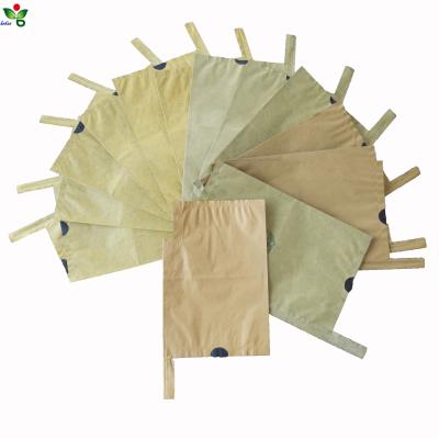 China Factory price protection biodegradable mango fruit growing paper bag for sale