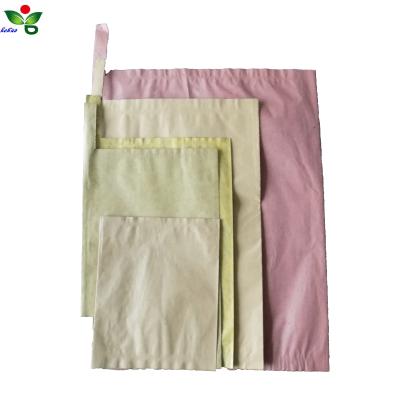 China High quality hot sale factory price fruit protection mango paper bag BIODEGRADABLE for sale