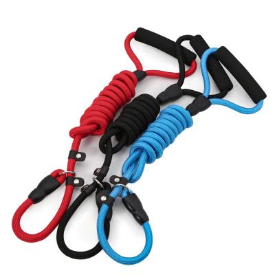 China Viable Made in China Top Quality Multi-specification 1.4m Nylon Pet Dog P-Type Leash for sale