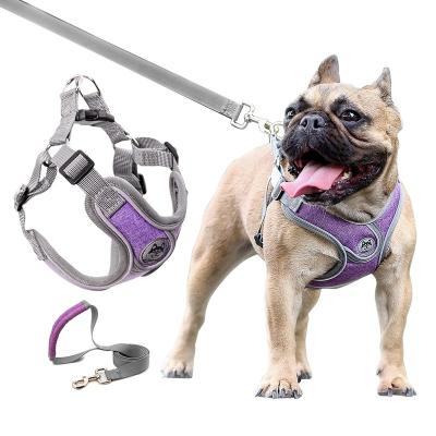 China Sustainable Professional Manufacture Air-Mesh Fabric Polyester Cheap Comfort Pet Harness for sale