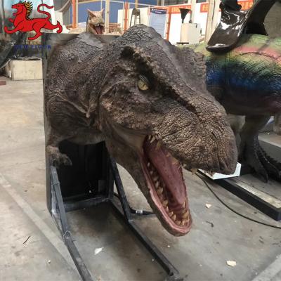 China Customized High Quality Animatronic Dinosaur Head Animatronic For Theme Park for sale