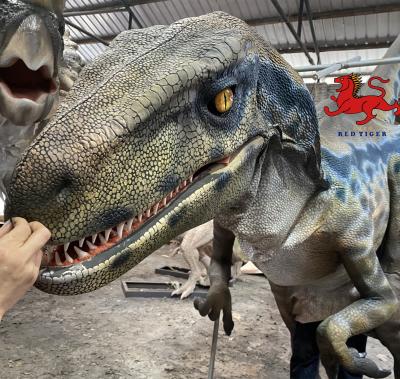 China Easy Walking Realistic Animotronic Dinosaur Costume With 3D Printing Material for sale